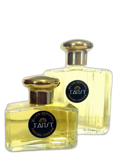 Tansy Trnp by TRNP