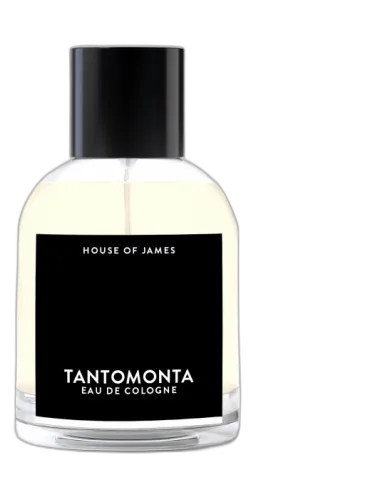 Tantomonta House Of James by House Of James