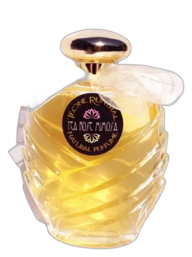 Tea Rose Mimosa Trnp by TRNP