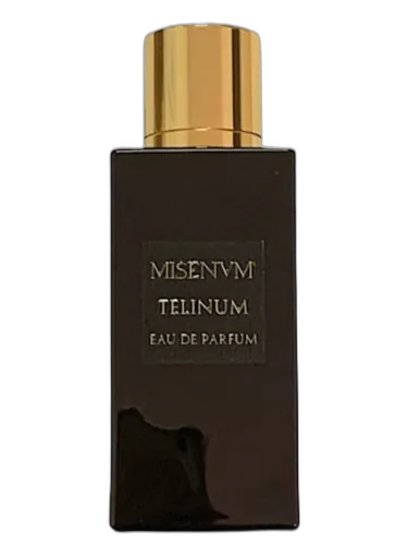 Telinum Misenum by Misenum