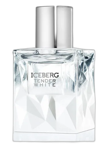 Tender White Iceberg by Iceberg