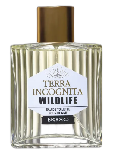 Terra Incognita Wild Life Brocard by Brocard
