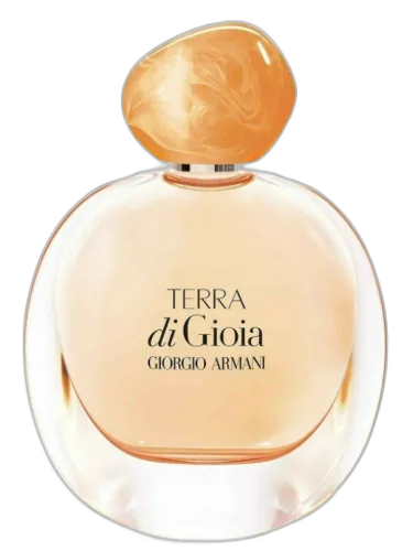 Terra Di Gioia Giorgio Armani by Giorgio Armani