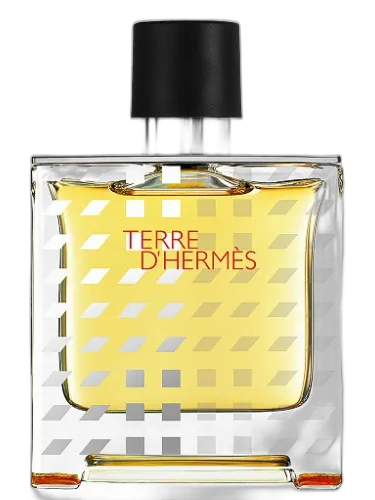 Terre D'hermes Flacon H 2019 Parfum Hermès by Hermès