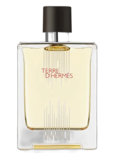 Terre D'hermes Flacon H 2021 Eau De Toilette Hermès by Hermès