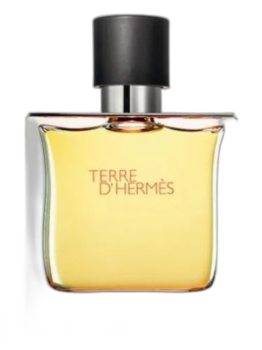 Terre D'hermes Parfum Hermès by Hermès