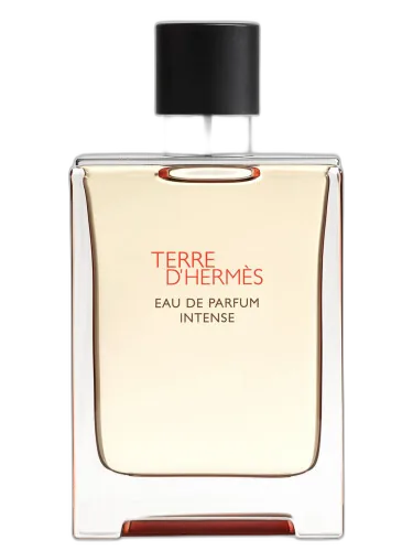 Terre D’hermès Intense Hermès by Hermès