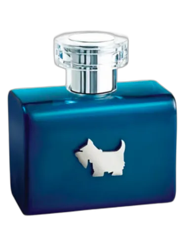 Terrier Blue Ferrioni by Ferrioni