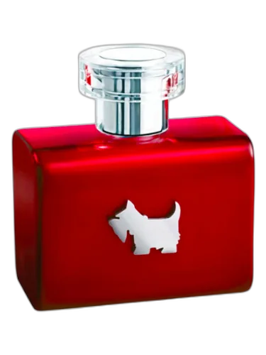 Terrier Red Ferrioni by Ferrioni