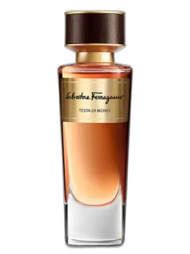Testa Di Moro Salvatore Ferragamo by Salvatore Ferragamo