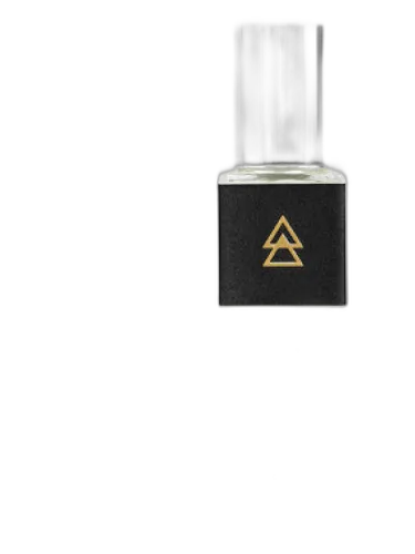 The Gold The Sum by The Sum