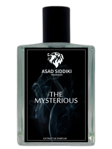 The Mysterious Asad Siddiki by Asad Siddiki