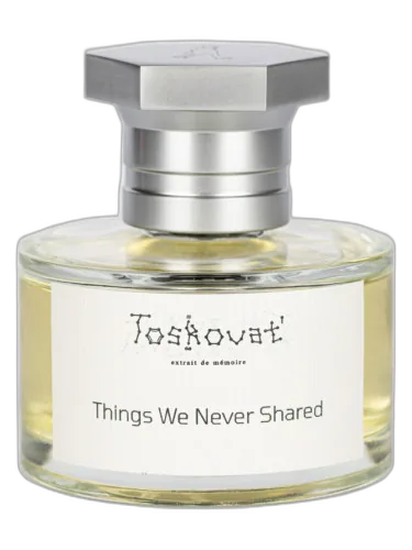 Things We Never Shared Toskovat'
