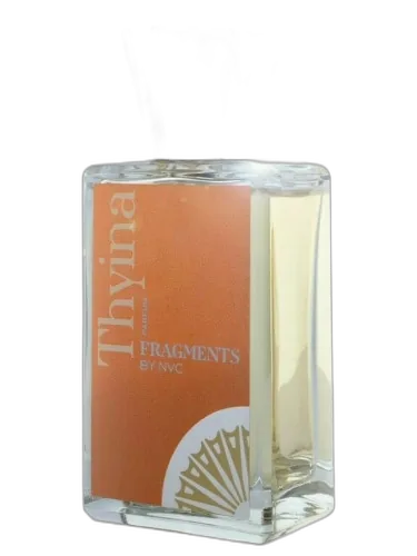 Thyina Fragments By Nvc