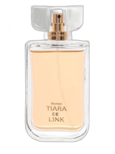 Tiara De Link Link by LINK
