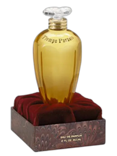 Tiempe Passate Antonia's Flowers