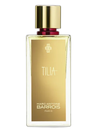 Tilia Marc-antoine Barrois