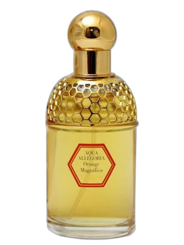 Aqua Allegoria Orange Magnifica Guerlain by Guerlain