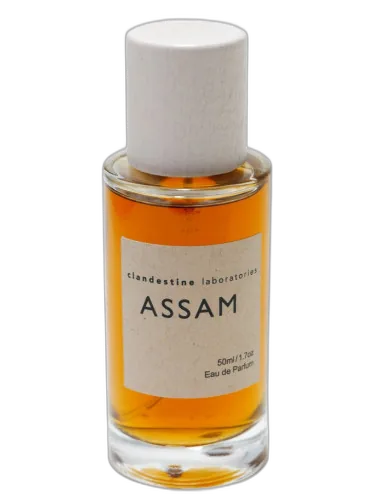 Assam Clandestine Laboratories