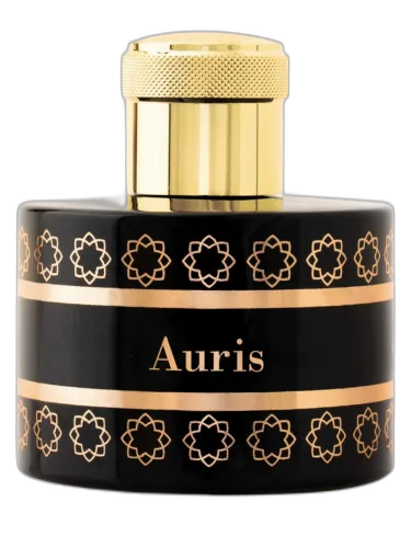 Auris Pantheon Roma