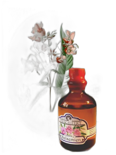Balsemien Fragrifert Parfumeur
