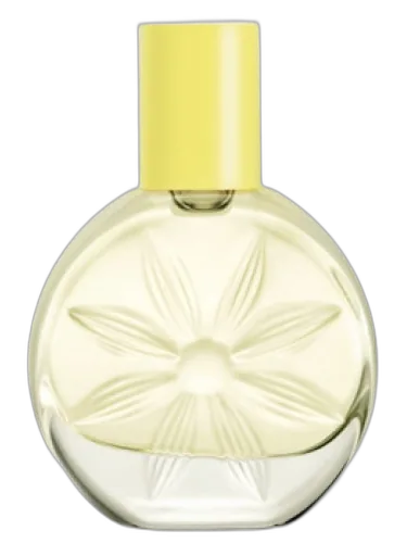 Be... Joyful Avon by Avon
