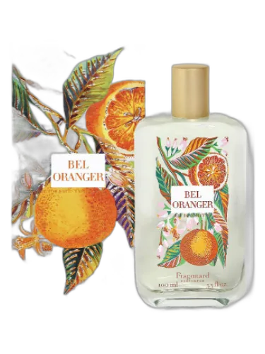 Bel Oranger Fragonard by Fragonard