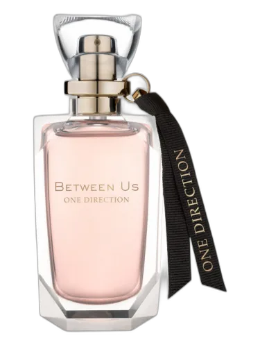 Between Us One Direction