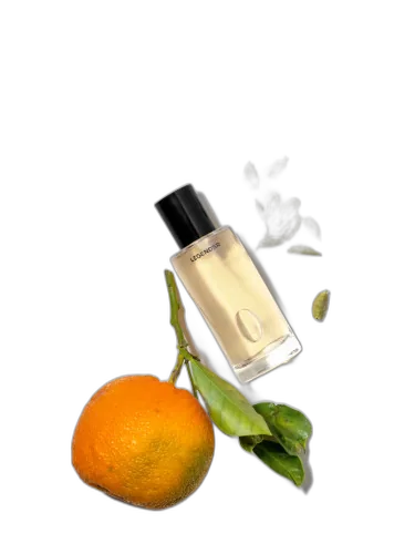 Bigarade Santal Legendär by LEGENDÄR