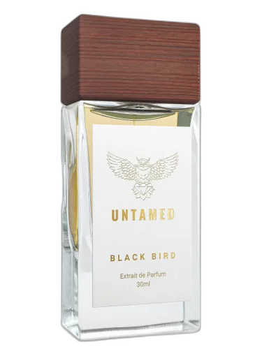 Black Bird Untamed