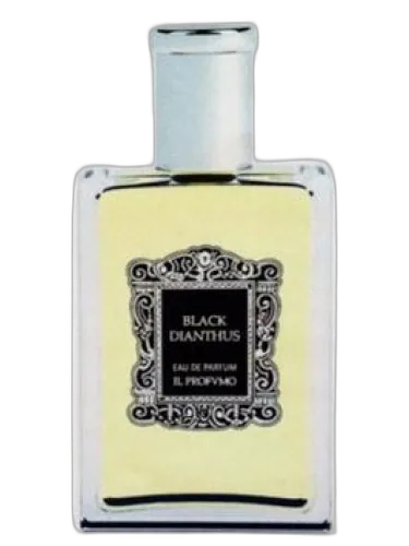 Black Dianthus Il Profvmo
