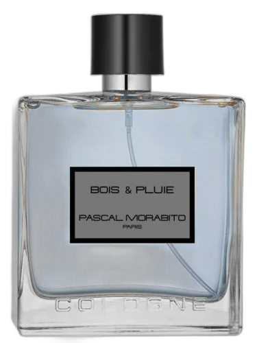Bois & Pluie Pascal Morabito by Pascal Morabito