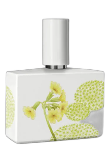 Bosque Limited Porcelain Edition Humiecki & Graef