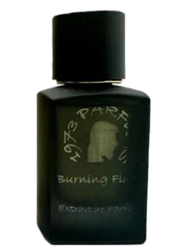 Burning Flame 1973 by 1973