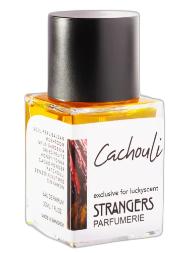 Cachouli Strangers Parfumerie