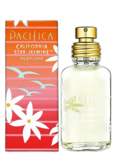 California Star Jasmine Pacifica