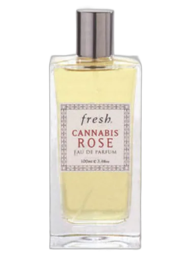 Cannabis Rose Fresh