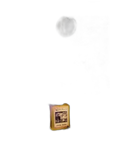 Cliffside Bonfire Solstice Scents