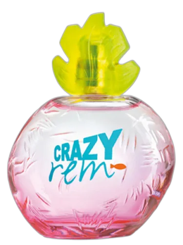 Crazy Rem Reminiscence by Reminiscence