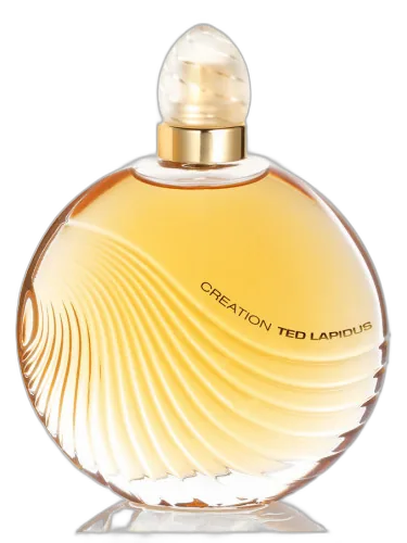Creation Ted Lapidus by Ted Lapidus