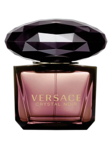 Crystal Noir Versace by Versace