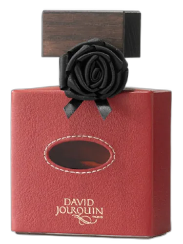 Cuir De R'eve David Jourquin