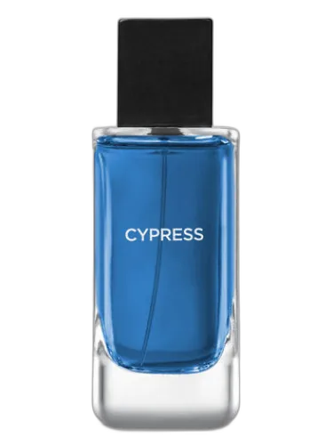 Cypress Bath & Body Works by Bath & Body Works
