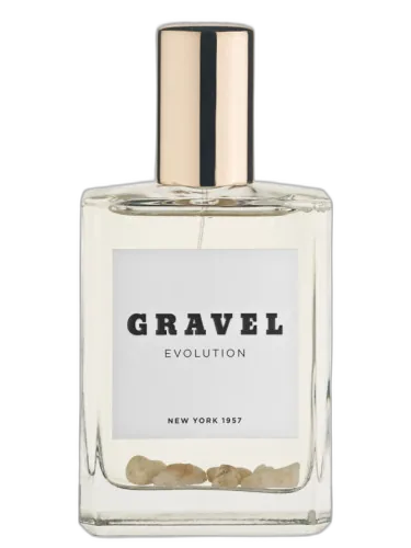 Evolution Gravel by Gravel