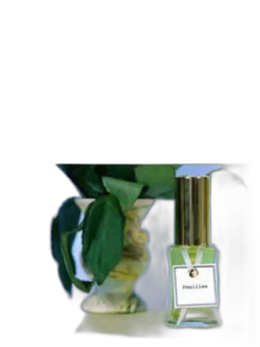 Feuilles Vertes (green Leaves) Dsh Perfumes by DSH Perfumes