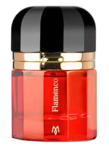 Flamenco Ramon Monegal by Ramon Monegal