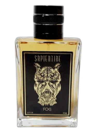Fog Sapientiae Niche by Sapientiae Niche