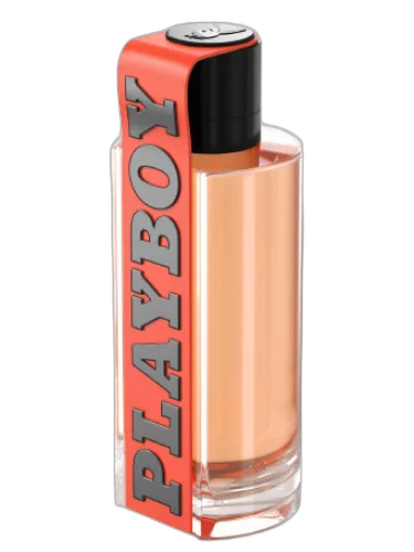 Game Changer Playboy