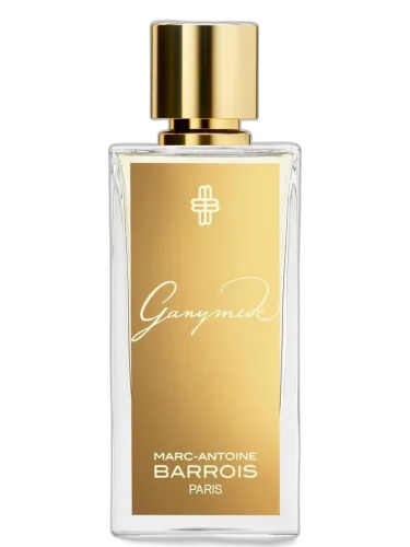 Ganymede Marc-antoine Barrois by Marc-Antoine Barrois