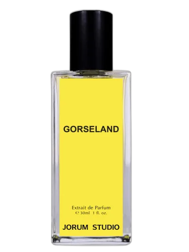 Gorseland Jorum Studio